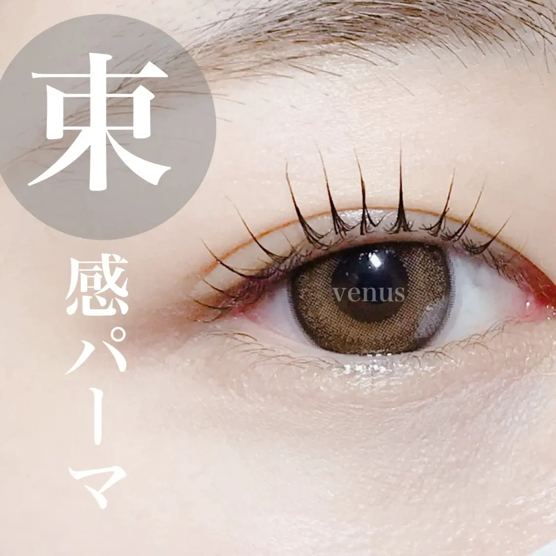 マツエク・マツパ eyelash catwinkのマツエク・マツパデザイン