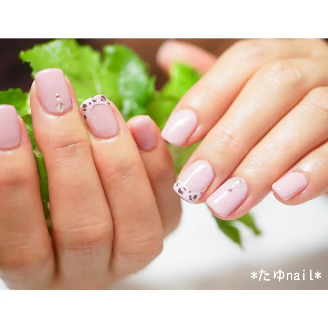 ネイル アニマル柄 フレンチネイル ネイルサロン 【たゆnail】のネイルデザイン