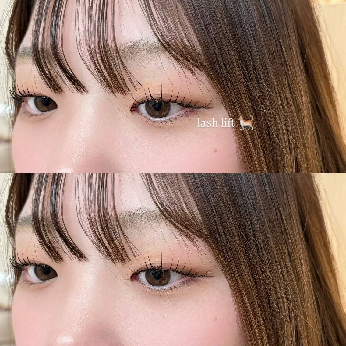 マツエク・マツパ 垢抜け眉WAX専門 ちゅるんまつげ|鎌倉の眉毛・アイブロウイメージ