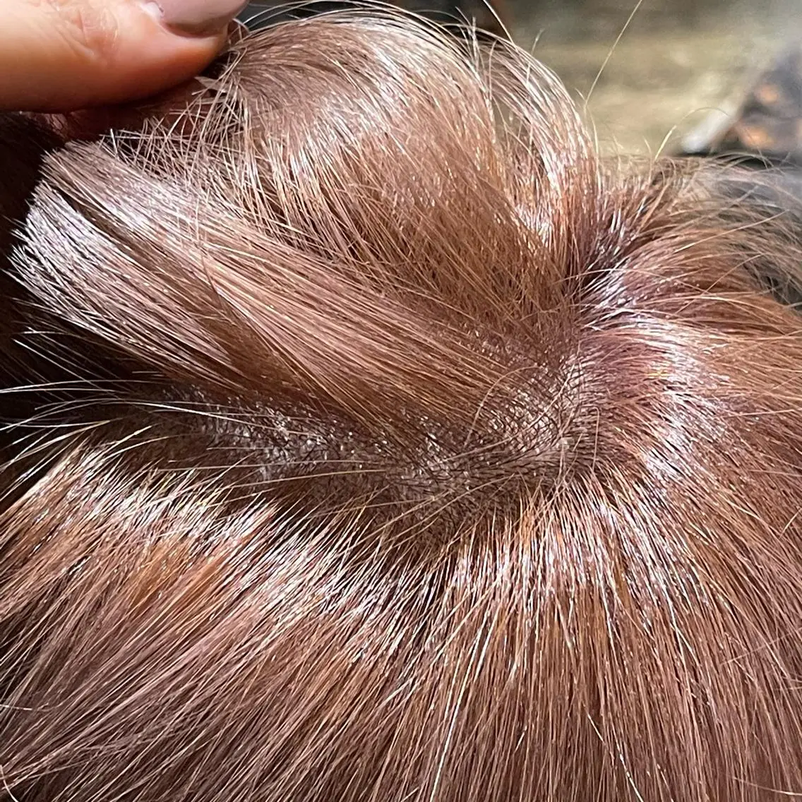 ショート カラー 美髪/透明感カラー reikoのヘアスタイル