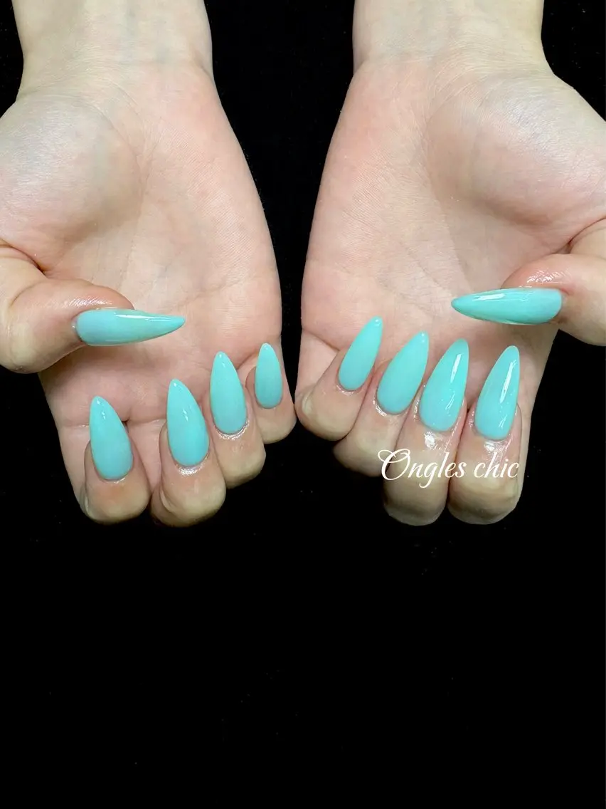ネイル ハンドネイル ongles chicのネイルデザイン