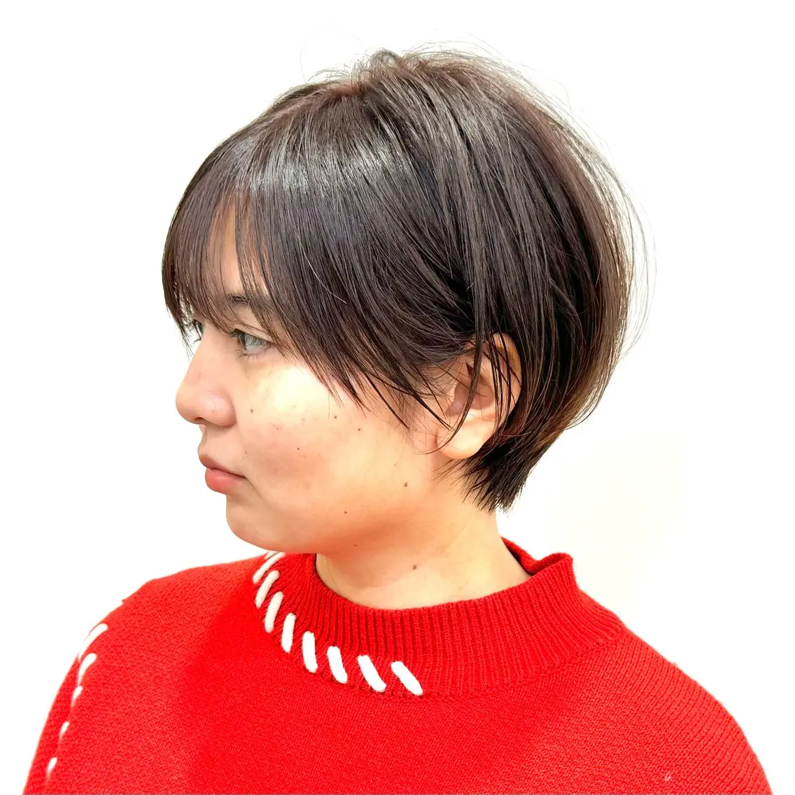 ショート 蛭川 博信のヘアスタイル