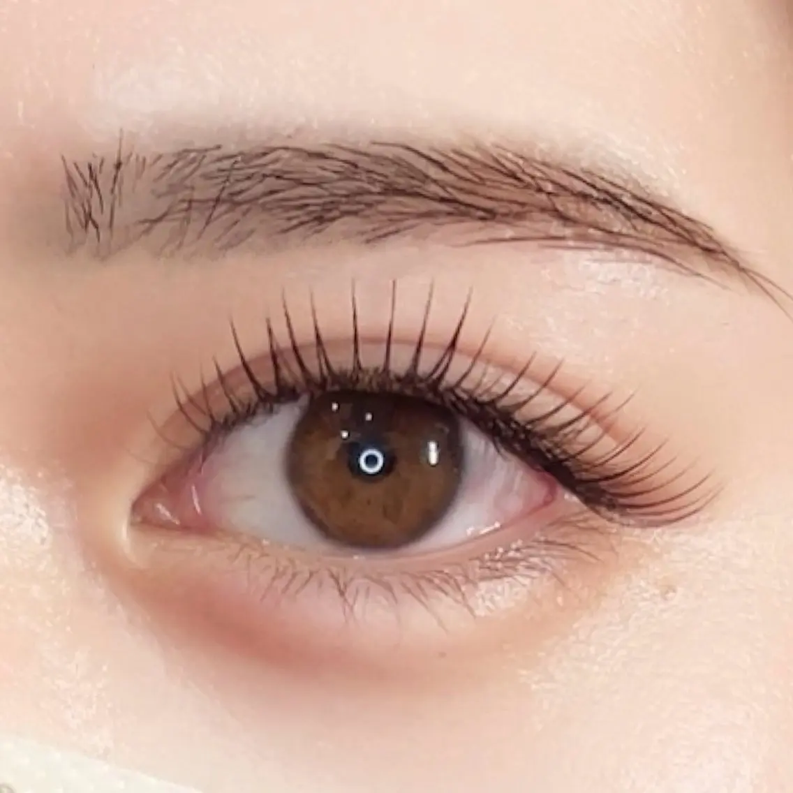 人気𝐍𝐨.𝟏デザインキープラッシュ🦋₊⁺ 120束(フラットラッシュ140本程のﾎﾞﾘｭｰﾑ)他店オフ込みの写真