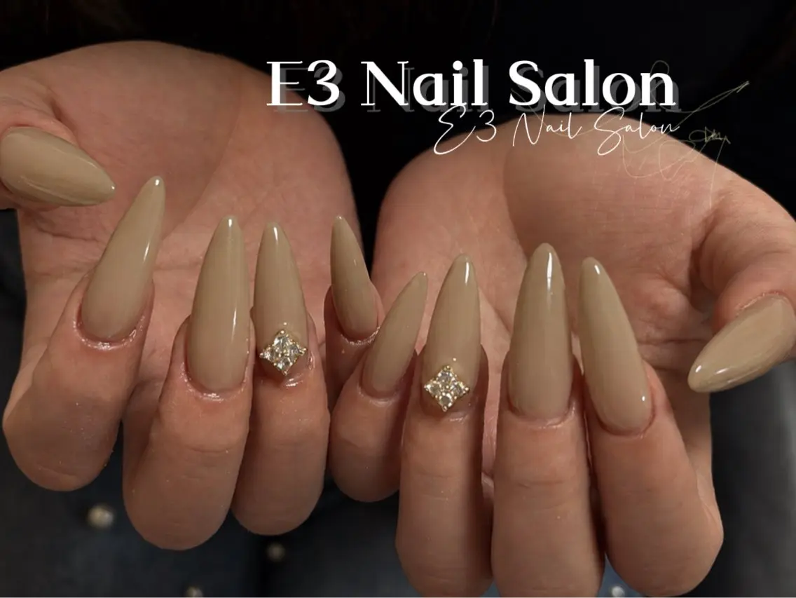 ネイル アニマル柄 オーロラネイル べっ甲ネイル ボルドー ブラウン ハンドネイル E3 Nail Salonのネイルデザイン