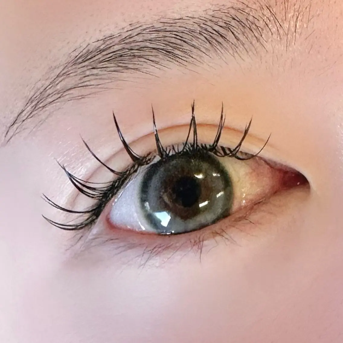 🧡🫧LED🧡🫧フラットラッシュ 120本🌷の写真