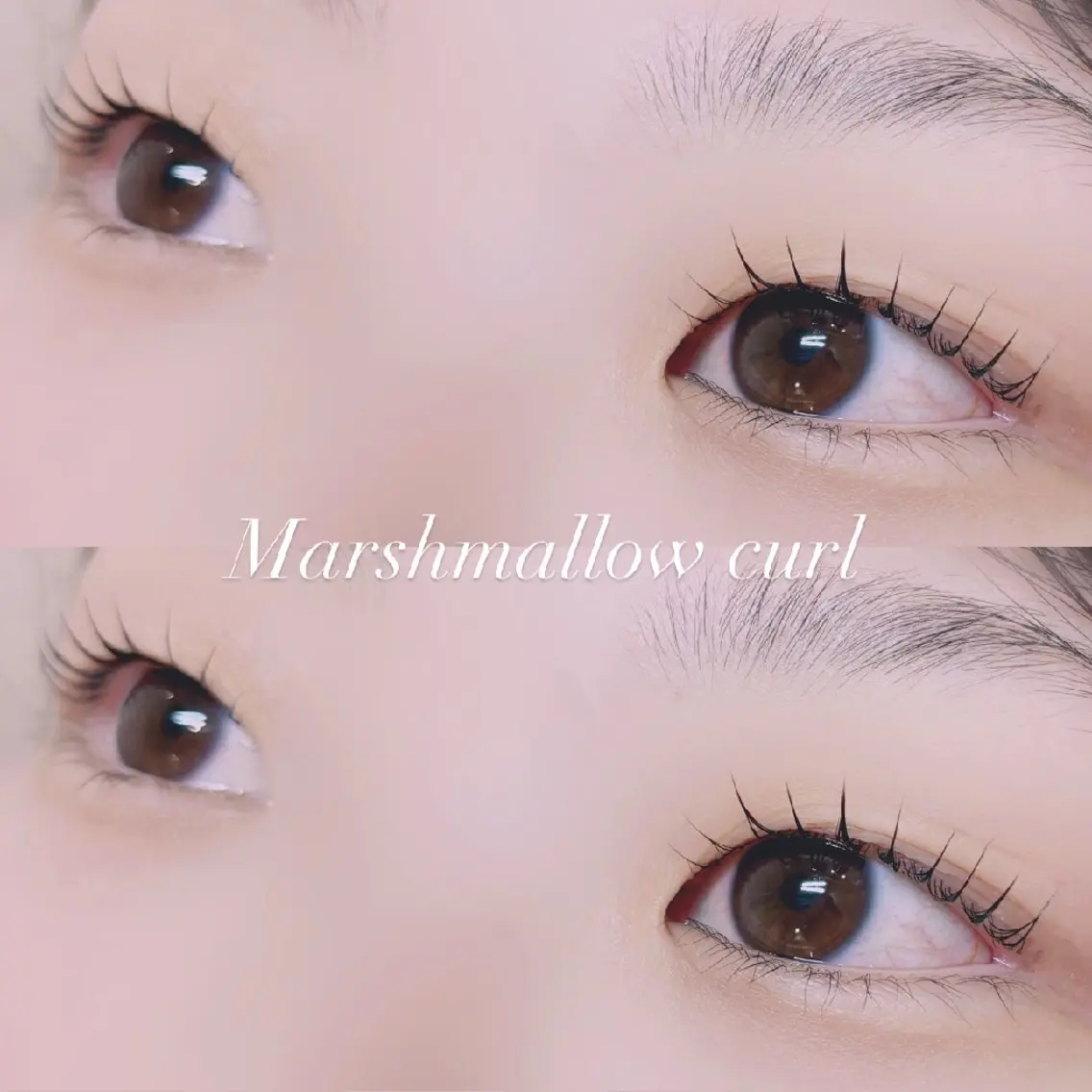 マツエク・マツパ マツパ 🐩Pupu lash🐩のマツエク・マツパデザイン