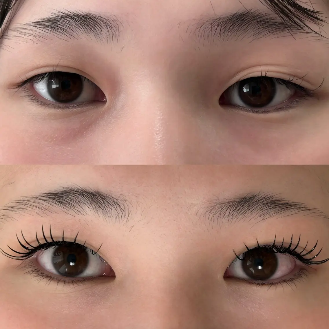 🌟新規限定🌟🩶人気No.1🩶 バインドロック80束(オフ込み)の写真
