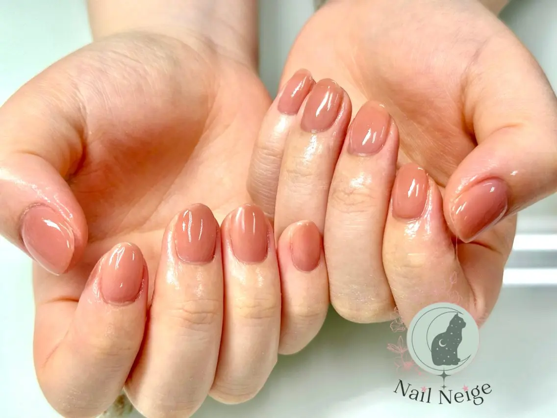 ネイル ジェルネイル マグネットネイル 持ち込み ワンカラーネイル パラジェル Nail Neige🐈🌙のネイルデザイン