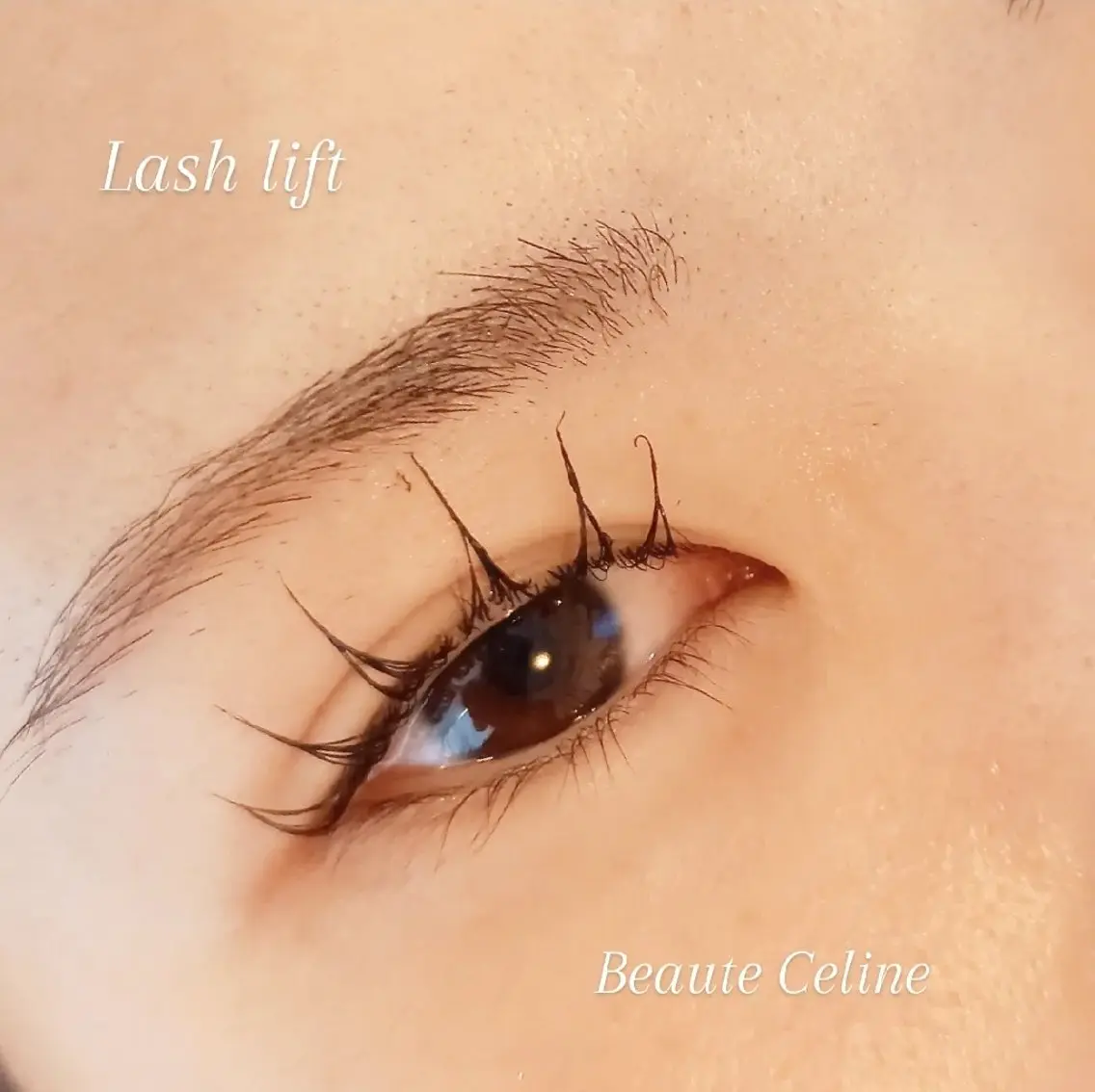 マツエク・マツパ マツパ LED✨beaute Celine🌛🌹のマツエク・マツパデザイン