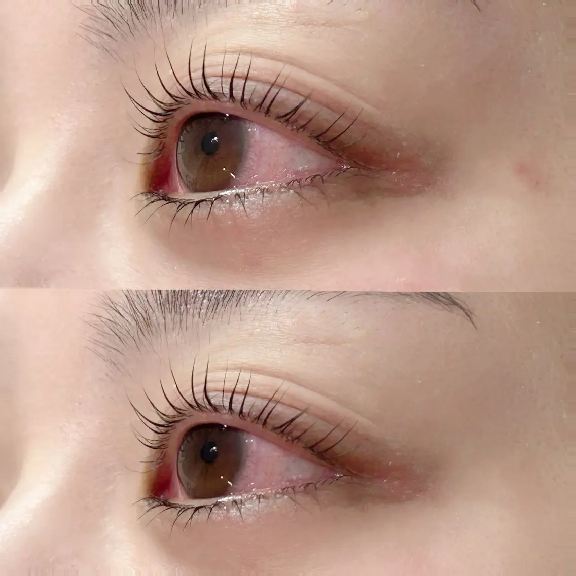 【✨ご新規様限定✨】大人気まつ毛パーマ🌟立ち上げorカール¥4800円(ご来店2回目まで利用可能)の写真