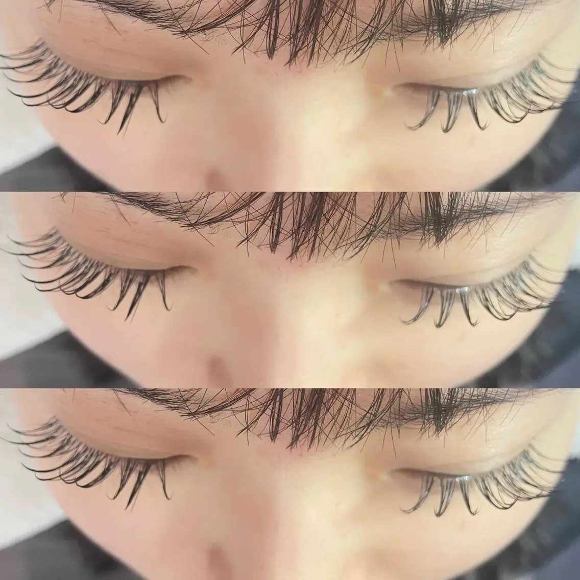 フラットラッシュ120本🌱の写真