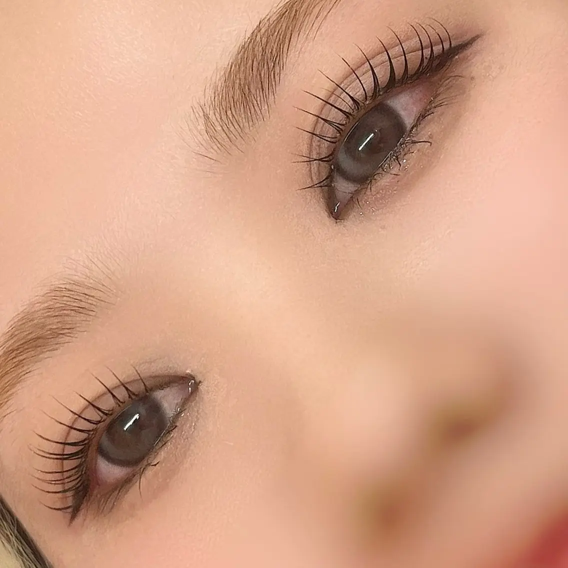 [学割U24] パリジェンヌorまつげパーマ🎀ིྀの写真