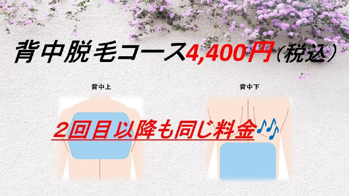 背中全体コース（背中上下）の写真