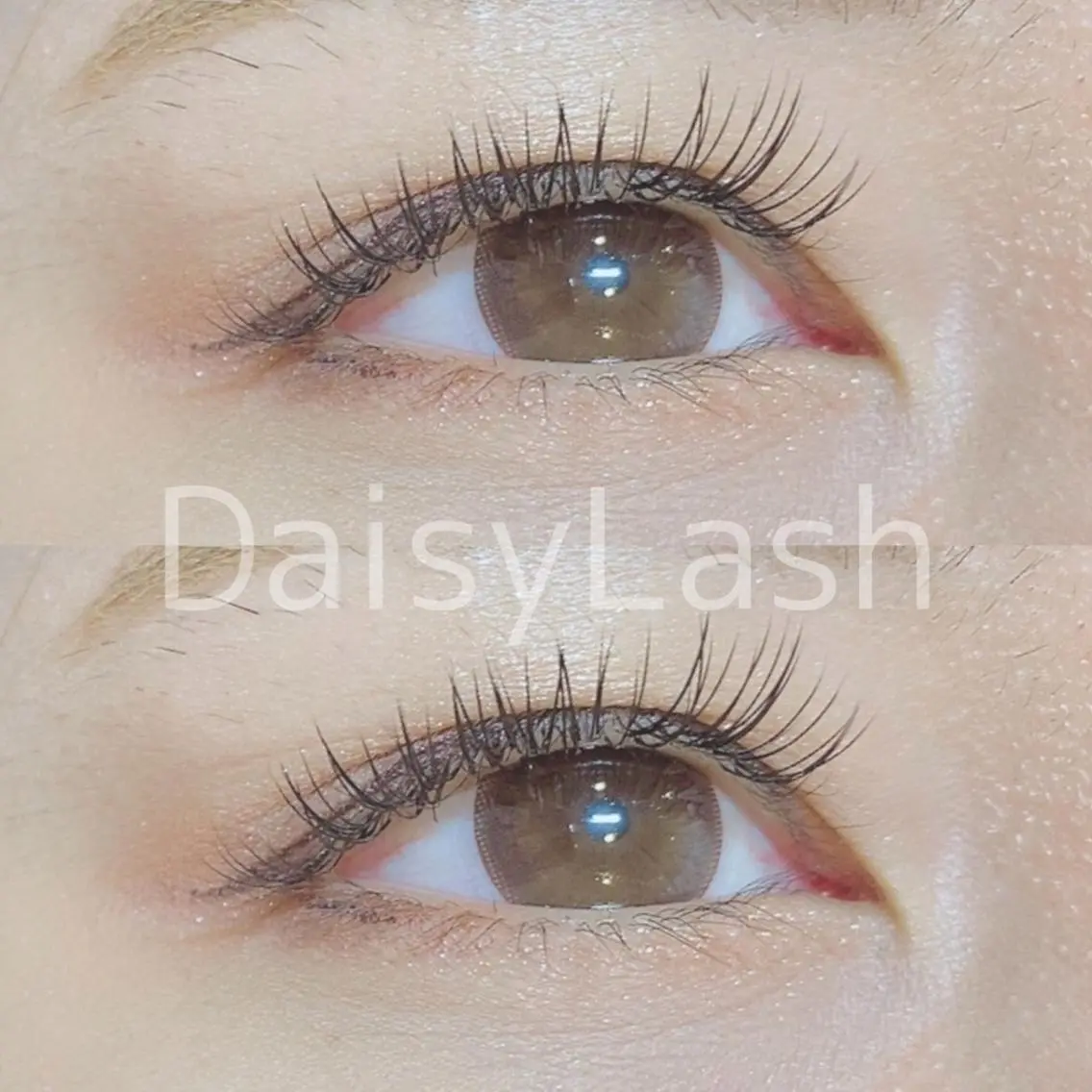 マツエク・マツパ DaisyLash 京橋店の眉毛・アイブロウイメージ