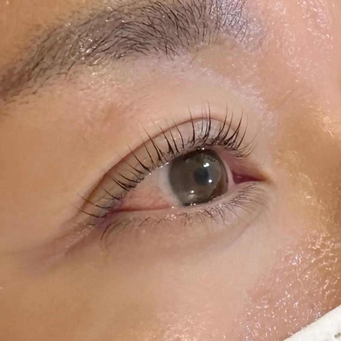 マツエク・マツパ マツパ Cuccha Becchaの眉毛・アイブロウイメージ