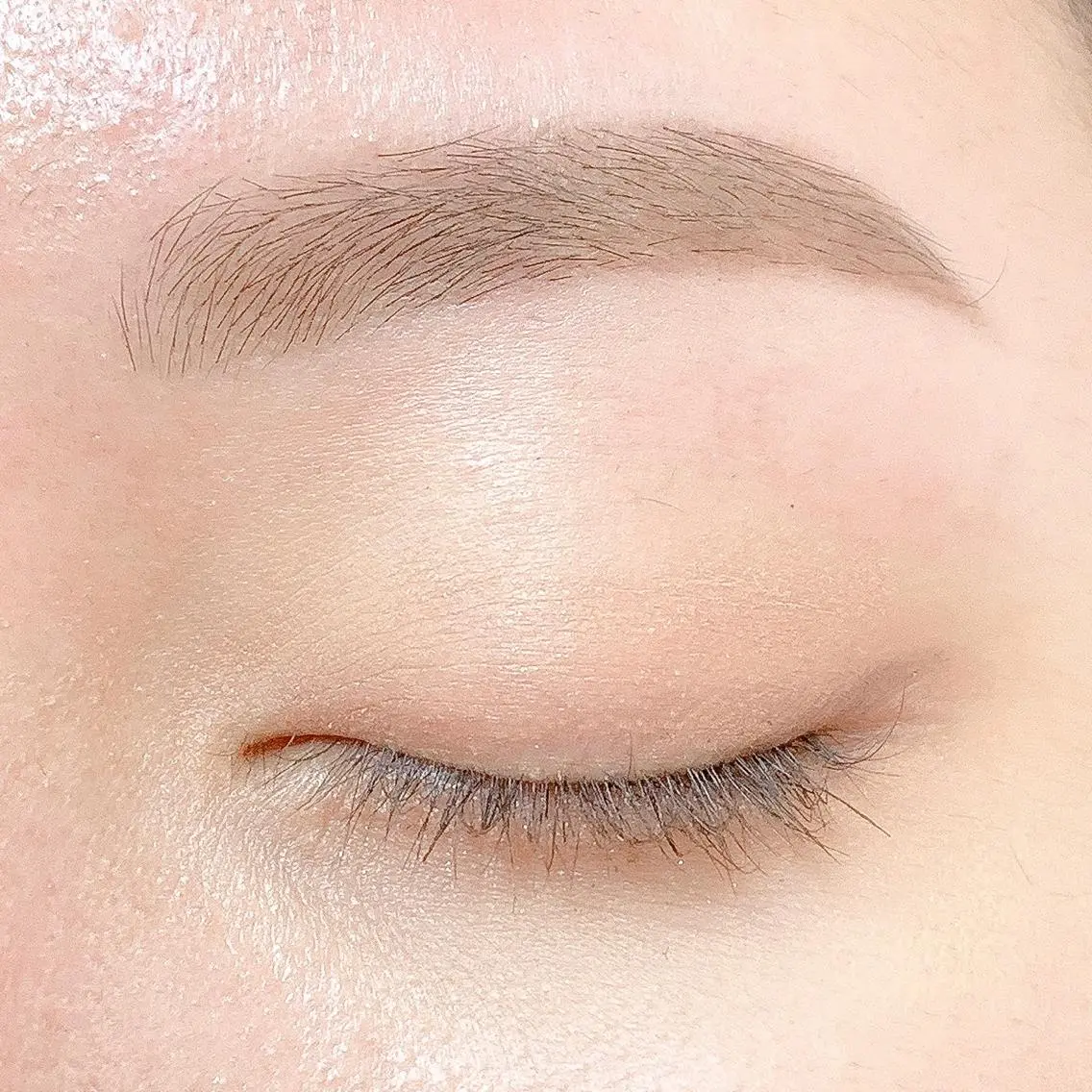 美眉スタイリング(Wax)の写真