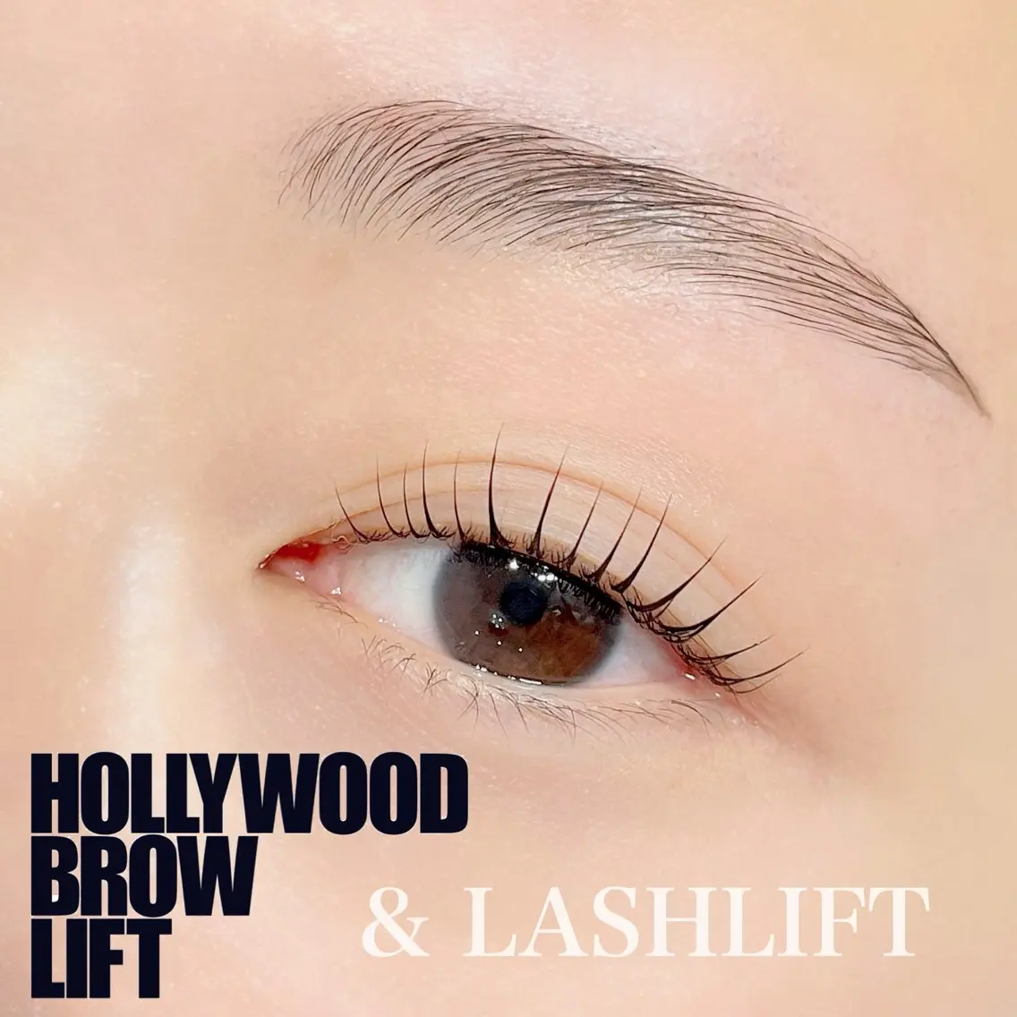 HOLLYWOODBROWLIFT(ハリウッドブロウリフト) +まつげパーマの写真