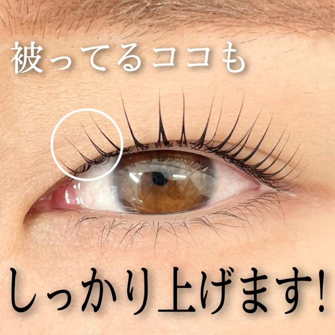 マツエク・マツパ アイブロウ 𝙈𝙖𝙠𝙤 ꨄ 束感まつ毛 ꨄ北堀江のマツエク・マツパデザイン