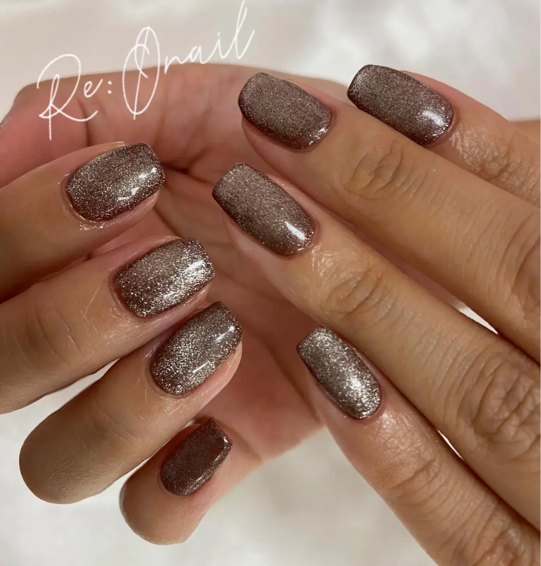 ネイル ブラウン マグネットネイル ハンドネイル Re:Ø nail 🩵TSUJIのネイルデザイン