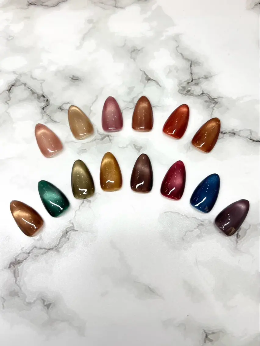 🤎秋の新色マグネット✨💅の写真