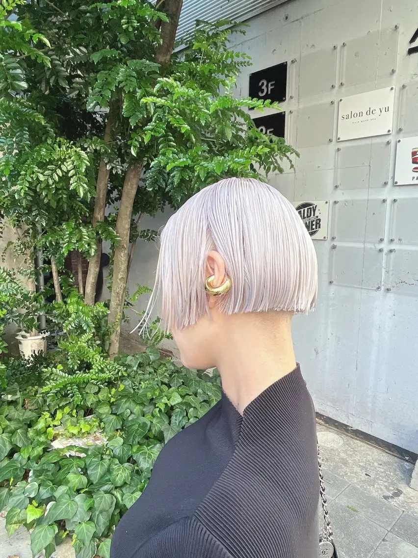 ハイトーンシルバーカラーの写真