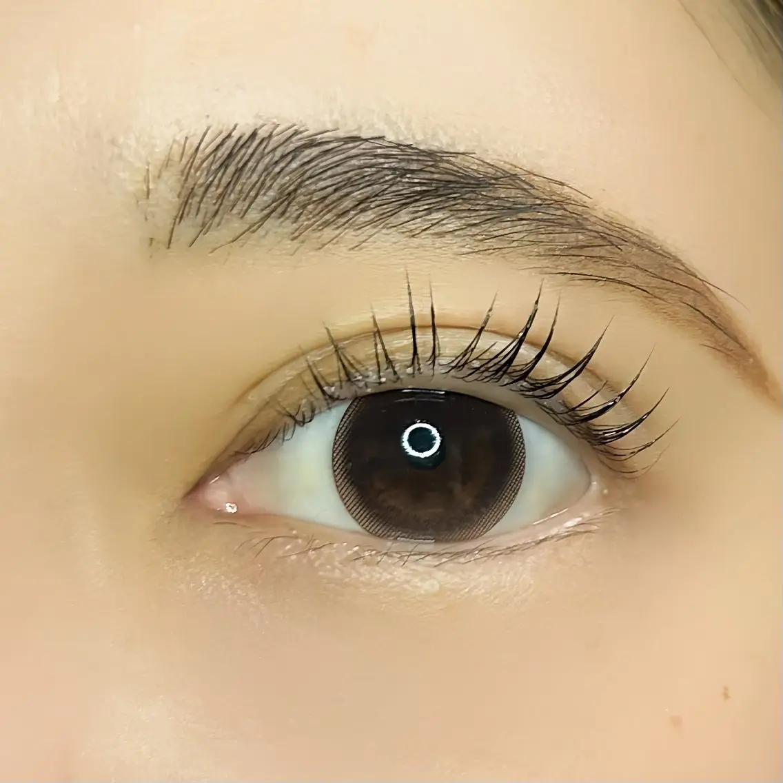 マツエク・マツパ マツエク ecru.eye 【元住吉】のマツエク・マツパデザイン