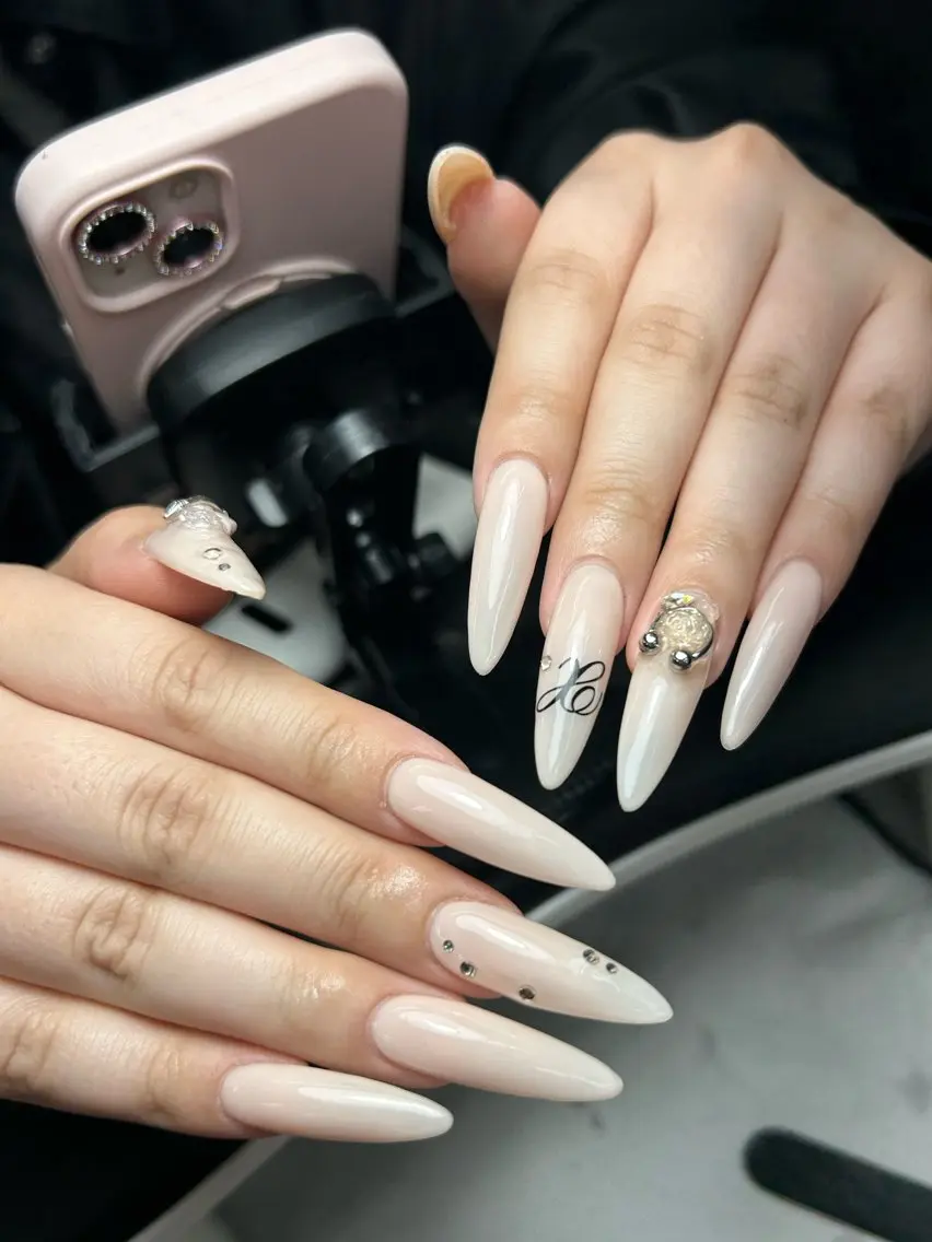 ネイル 韓国ネイル 持ち込み ニュアンスネイル ネイルチップ 冬ネイル RINN ANA.CHUOのネイルデザイン
