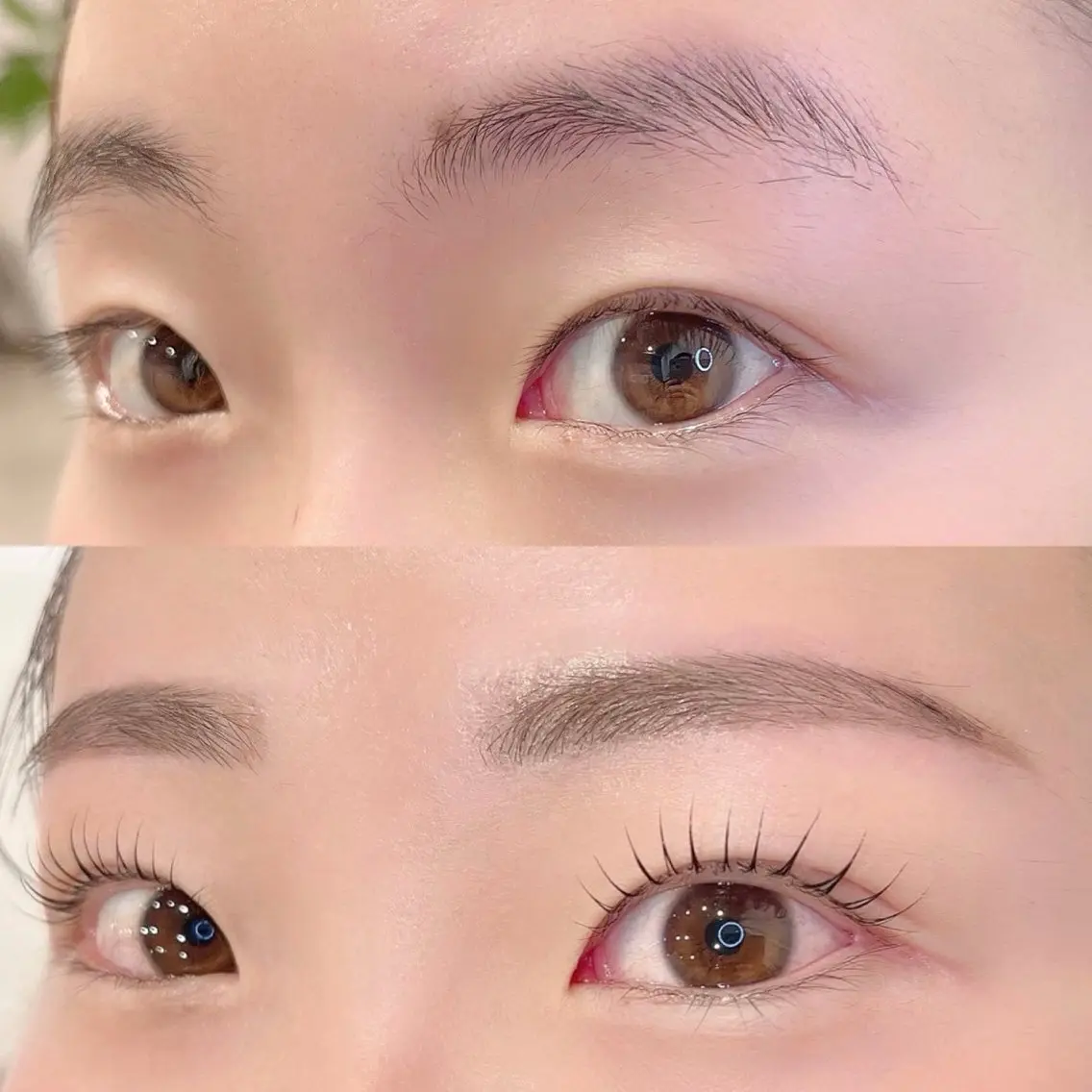 マツエク・マツパ ホワイトラッシュ 北本の眉毛・アイブロウイメージ