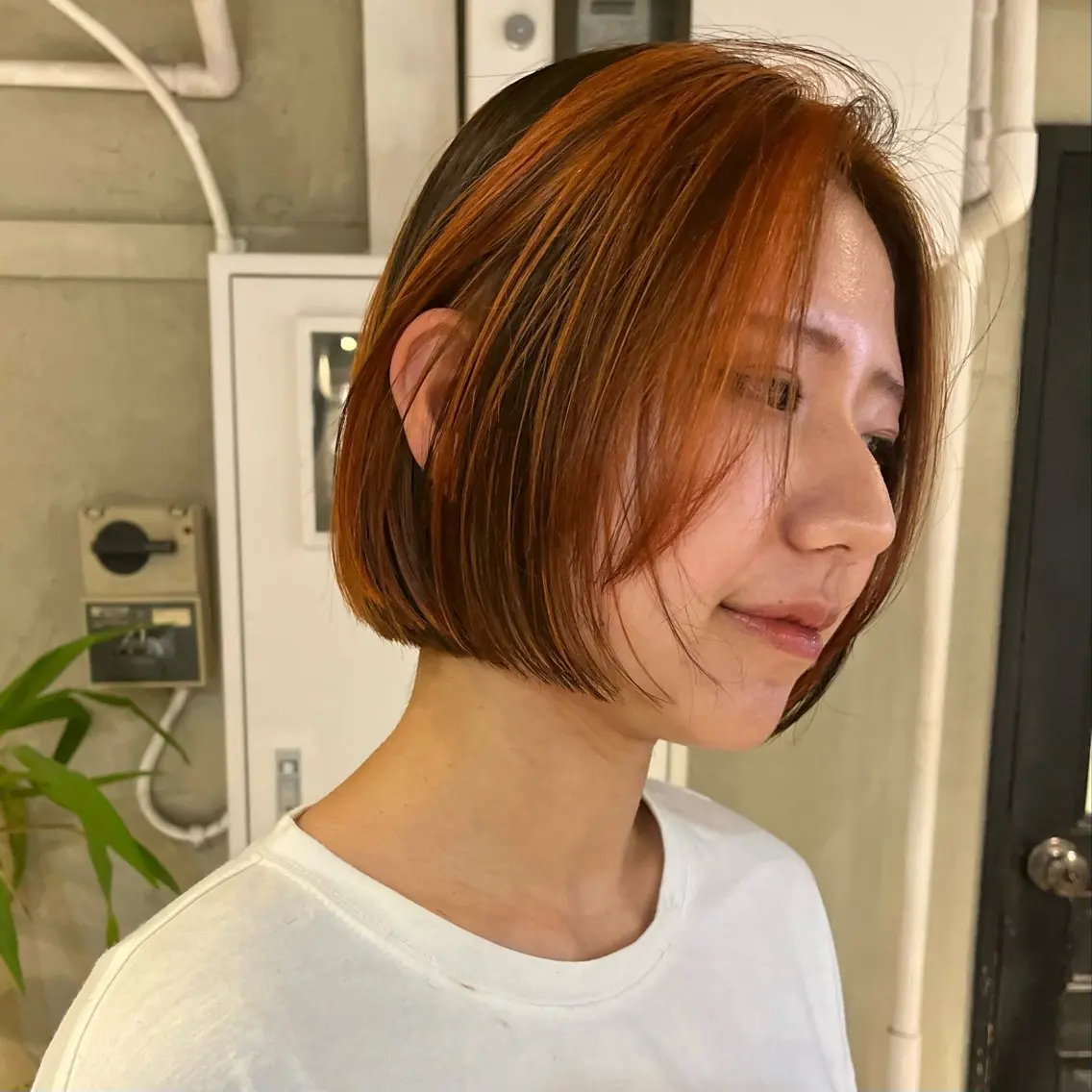 ショート カラー ヘアアレンジ ブラウンカラー オレンジ ボブハイトーン🦖 デザインMAMIのヘアスタイル
