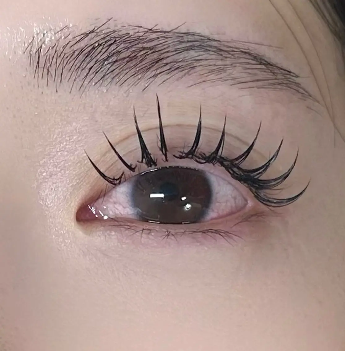 🤍Wフラットorバインドロック100束【オフ別途】🤍の写真