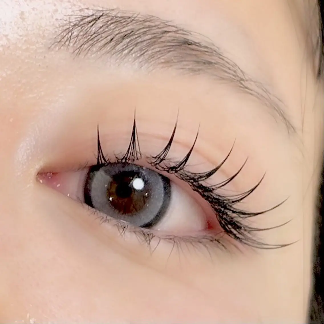 【最新LED✨モチ抜群◎】フラットラッシュ120本/オフ込みの写真