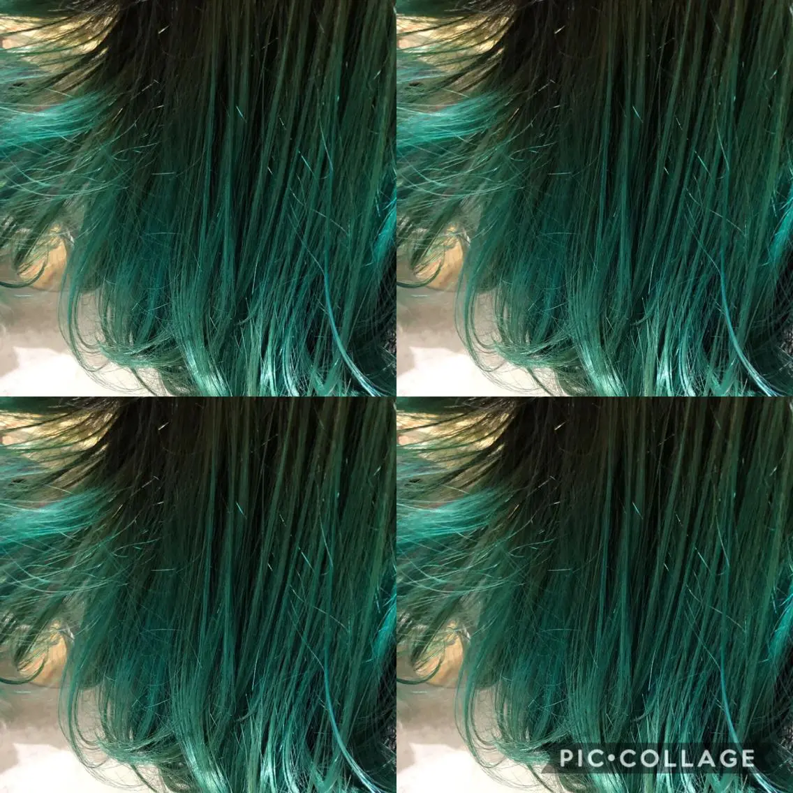 ショート カラー 🌈圧倒的デザイン力 内井省吾のヘアスタイル