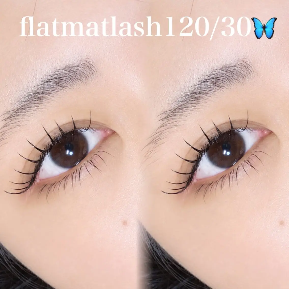 マツエク・マツパ マツエク MARL eyelash大川のマツエク・マツパデザイン