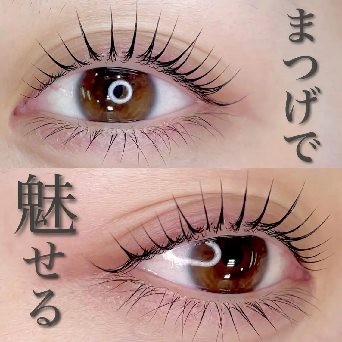 マツエク・マツパ パリジェンヌラッシュリフト 一重×まつ毛パーマ マツパ まつ毛達人/眉毛講師 KEONIのマツエク・マツパデザイン
