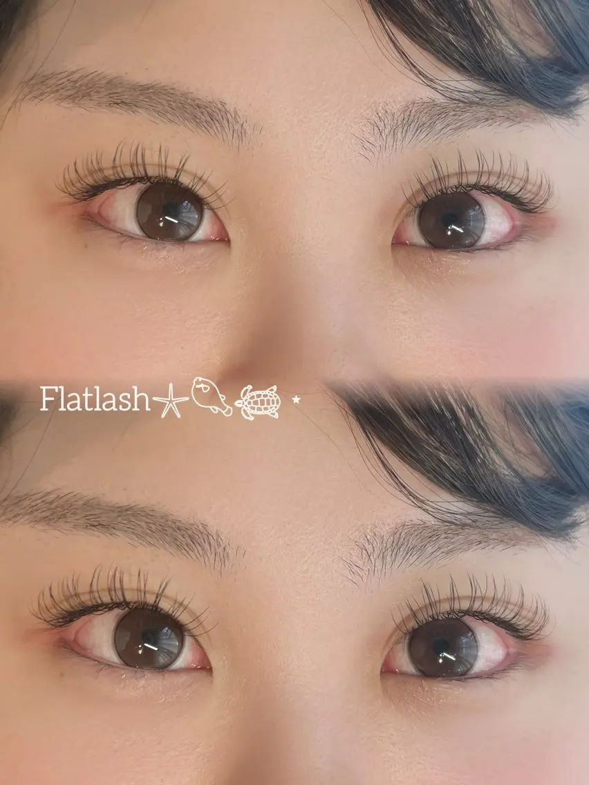 フラットラッシュ120本🌺【オフはプラス550円】付け足し不可❌の写真