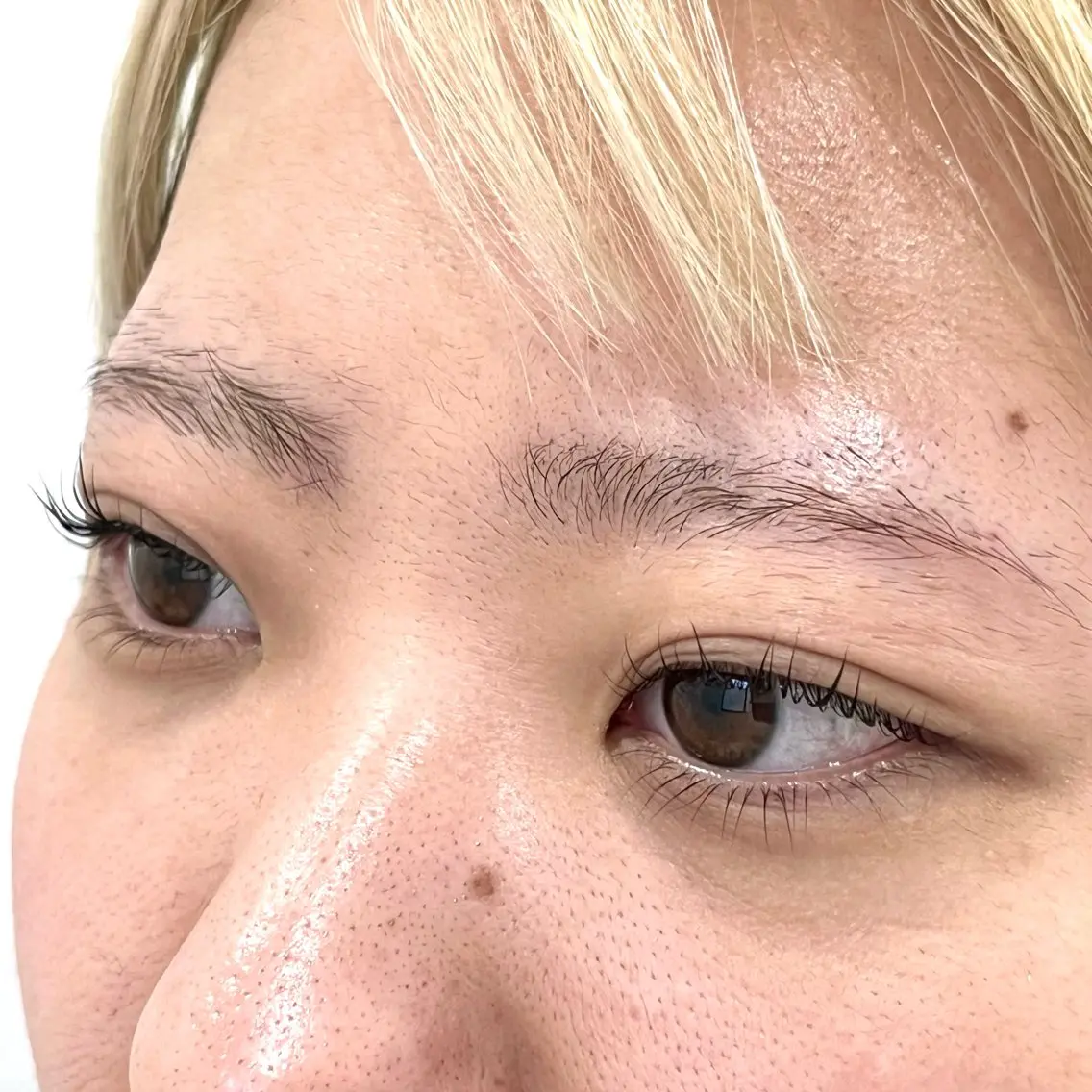 マツエク・マツパ まつげパーマ 下まつげエクステ ミエル横浜 小林の眉毛・アイブロウイメージ