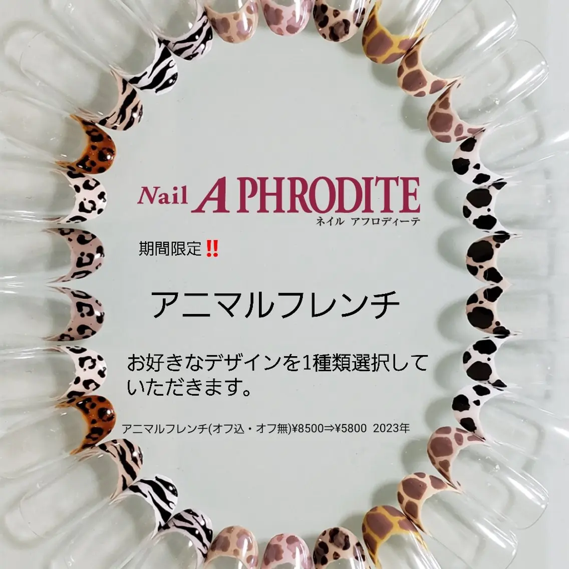 ネイル クリアネイル ジェルネイル ソフトジェル Nail Aphroditeのネイルデザイン