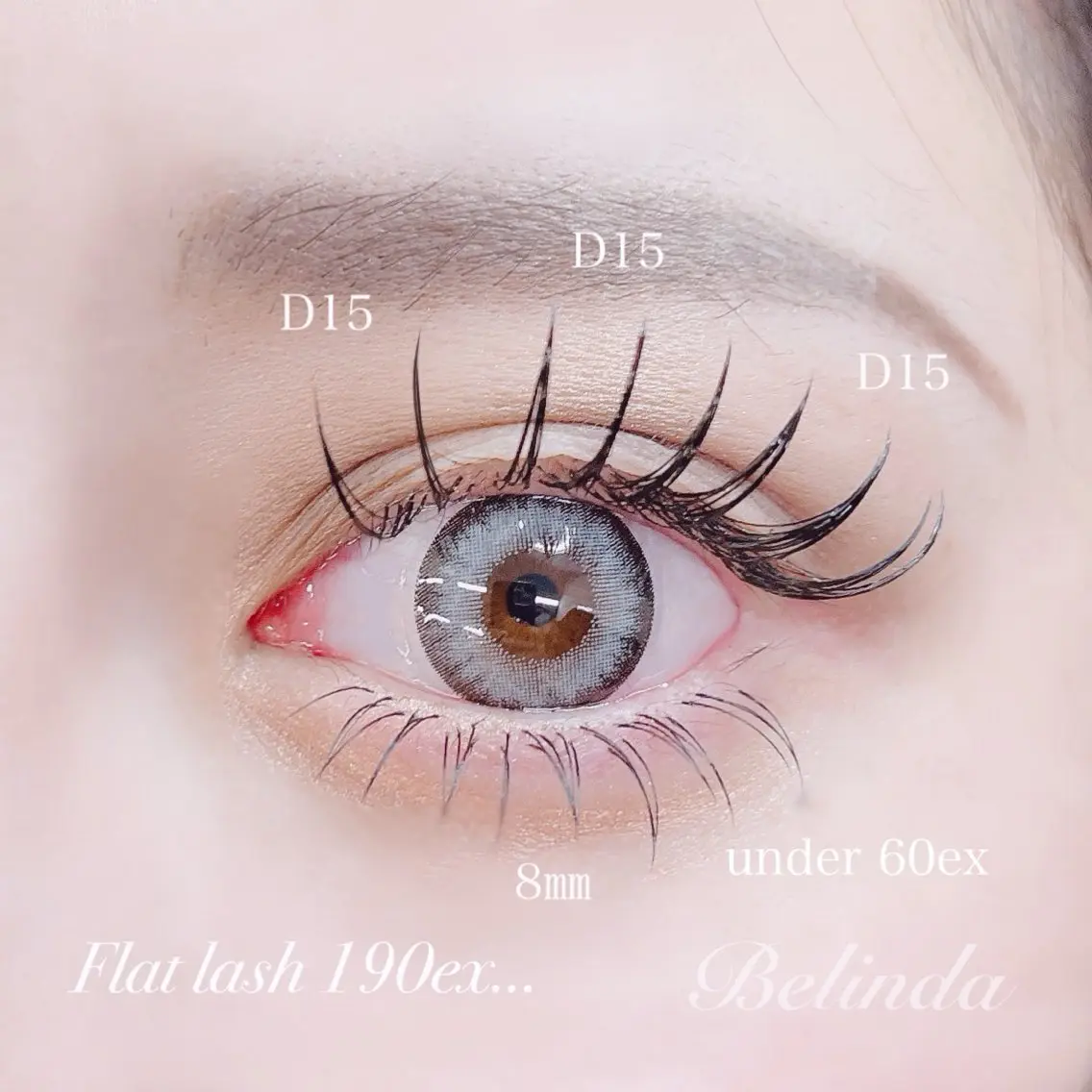 上下150本オフ有りの写真