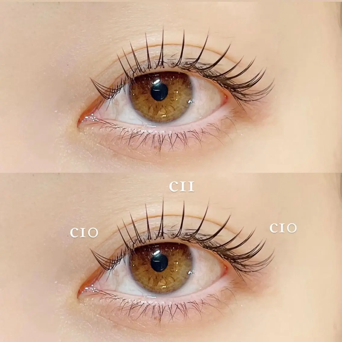 【LED💡】平日ご新規様限定🌈(土日祝+500円)持ち1.5倍!セーブルフラットラッシュ120〜130本コースの写真