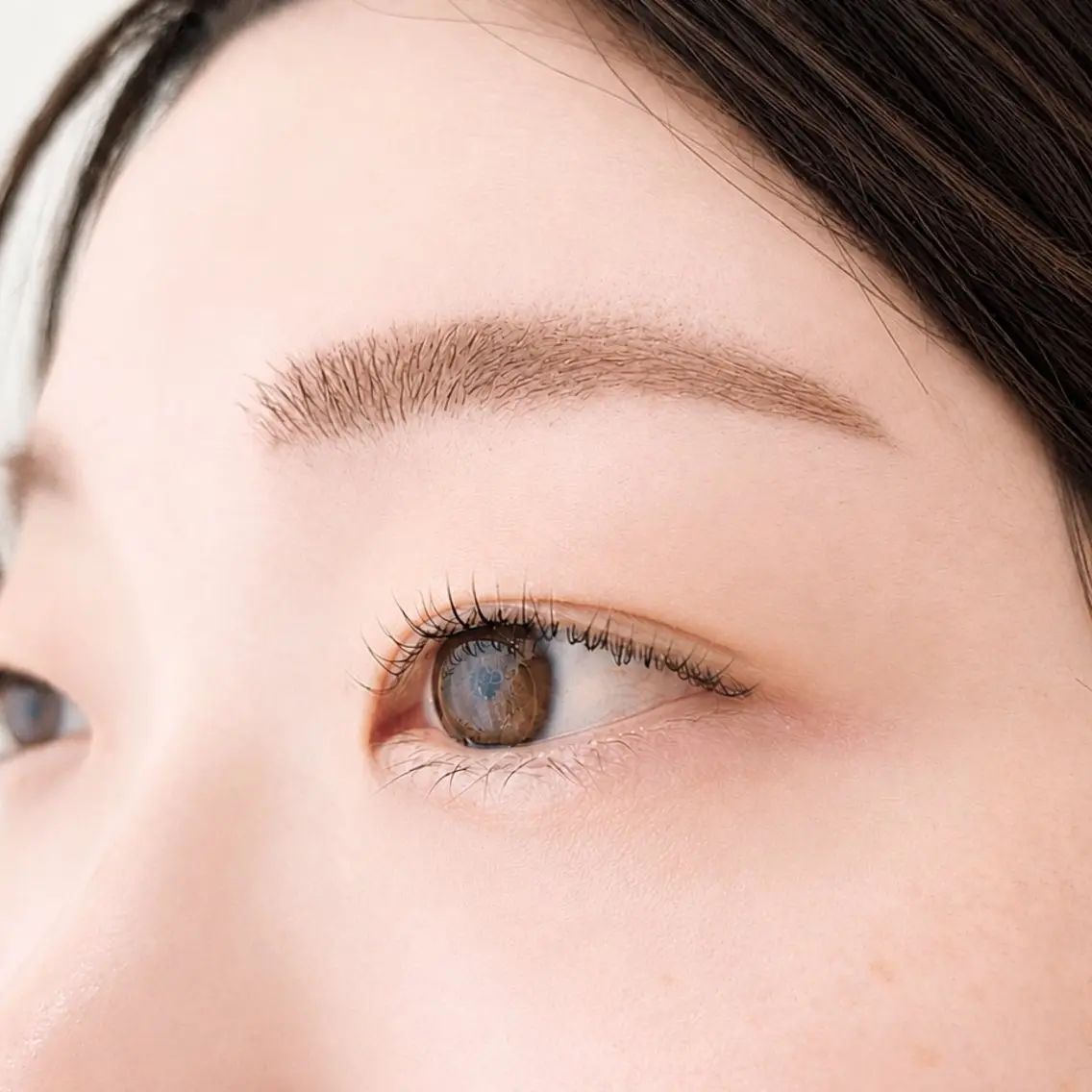 ふんわり眉毛仕上げWAX脱毛+毛量調整 ¥5400の写真