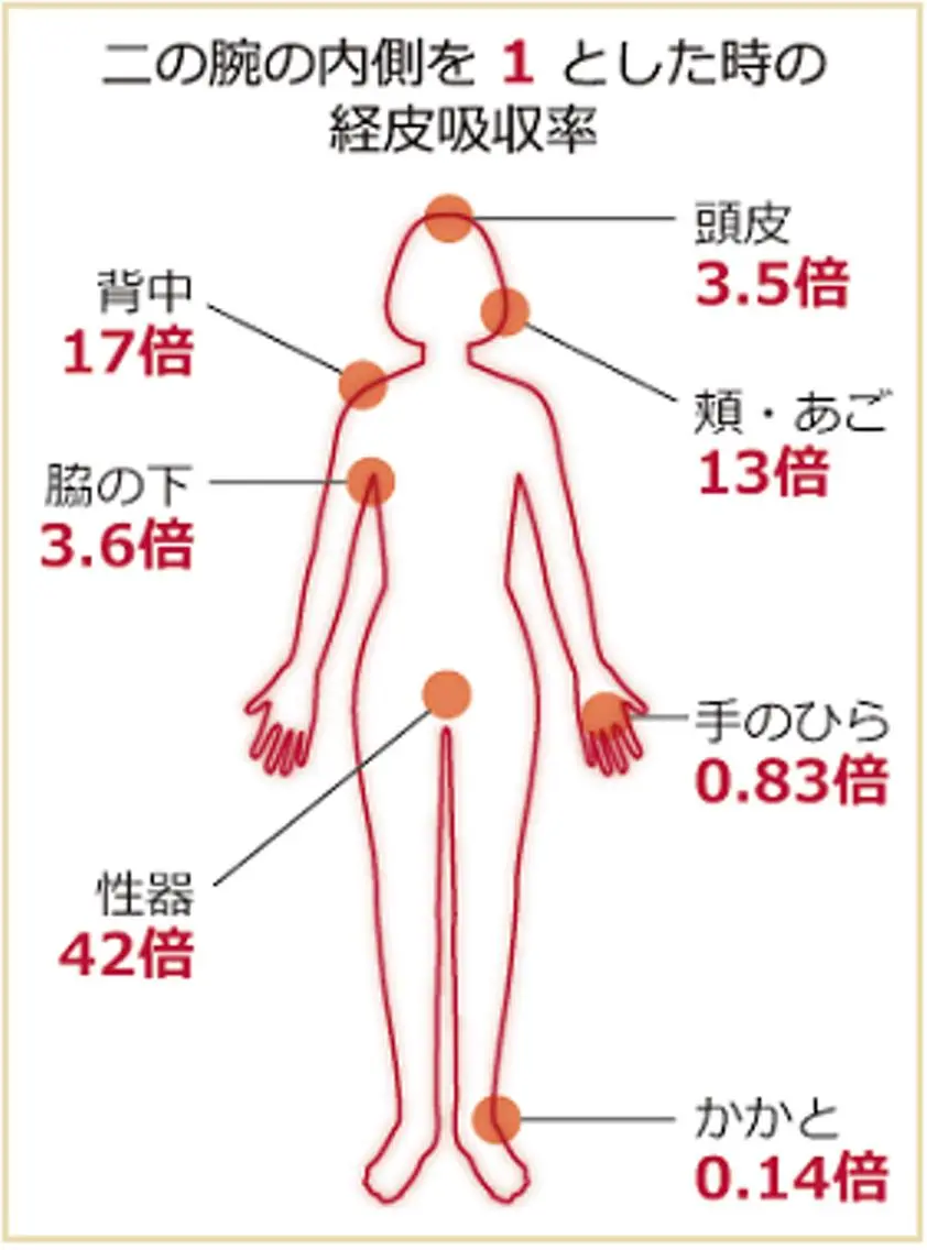 黄土よもぎ蒸し&デトックス全身オイルマッサージが両方受けられる贅沢コースの写真