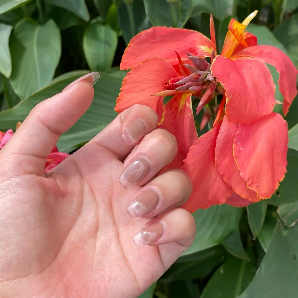 ネイル ハンドネイル Nail salon Euphoriaのネイルデザイン