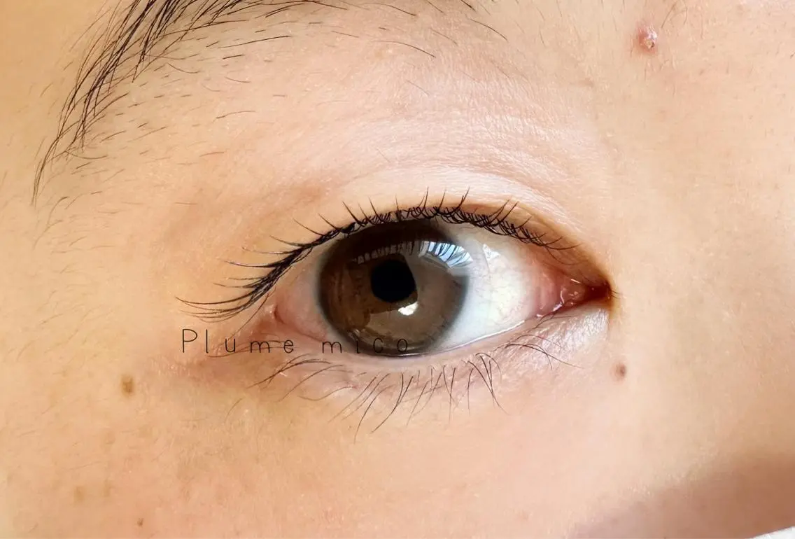 マツエク・マツパ マツパ Plume micoのマツエク・マツパデザイン