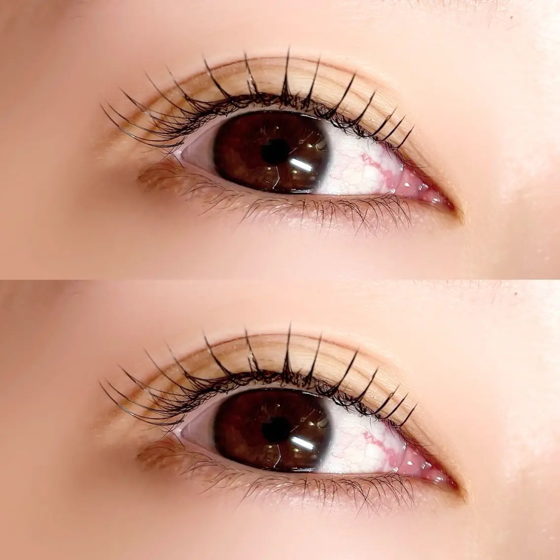マツエク・マツパ フラットラッシュ マツエク Pupu lash ‪ ꪔ̤のマツエク・マツパデザイン