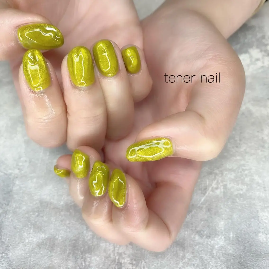 ネイル マグネットネイル テネルネイル tener nailのネイルデザイン