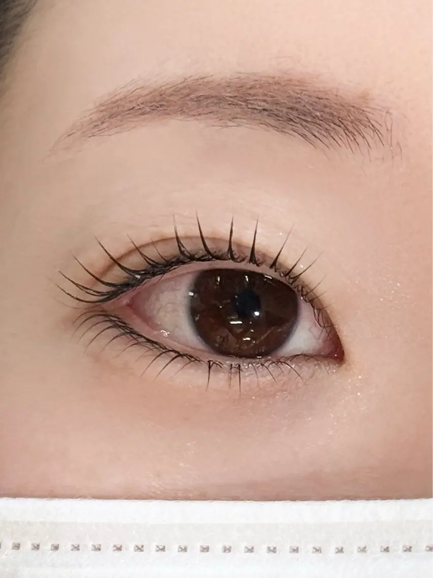 まつ毛パーマ上下の写真