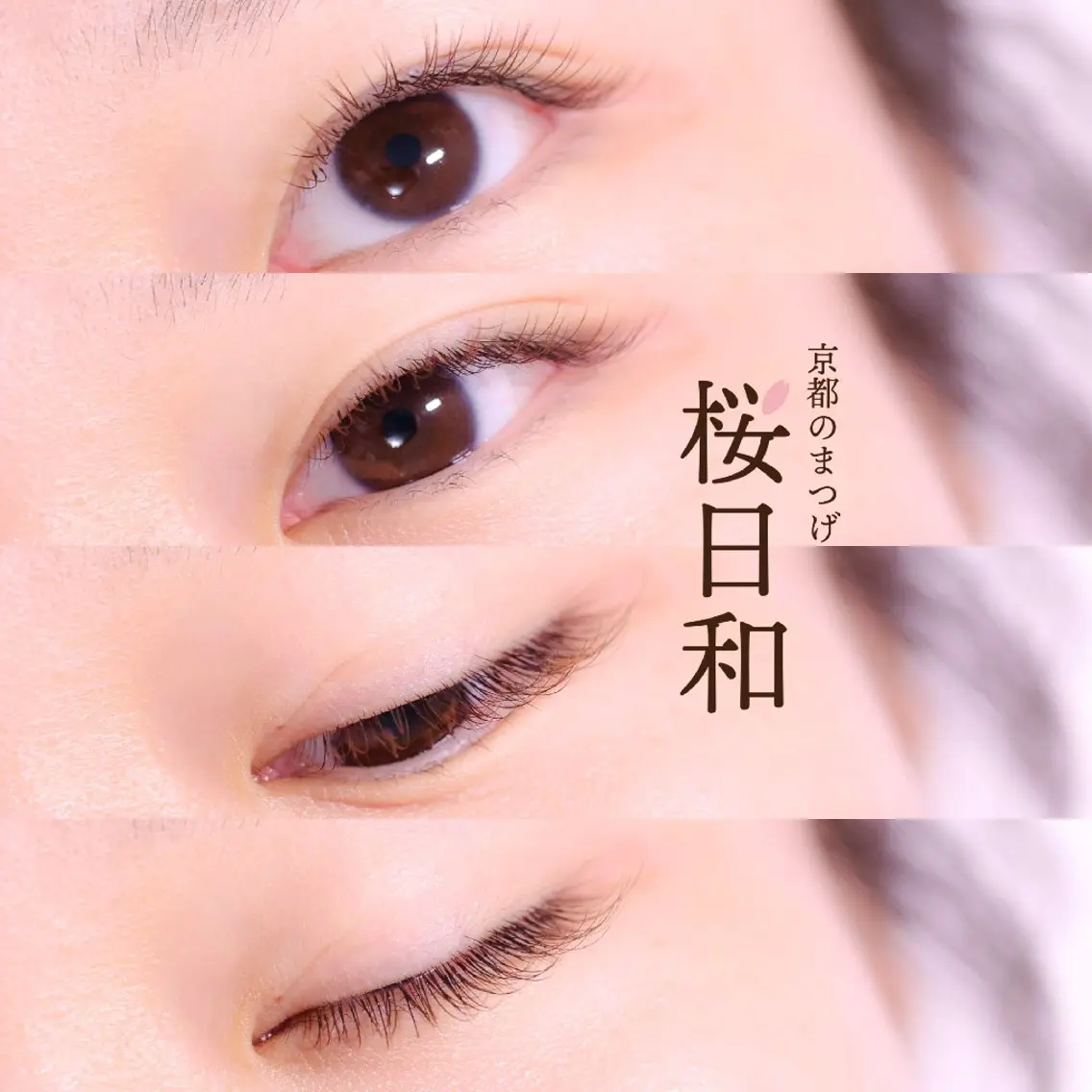 マツエク・マツパ カラーマツエク フラットラッシュ セクシー 京都のまつげ桜日和 小島美桜のマツエク・マツパデザイン