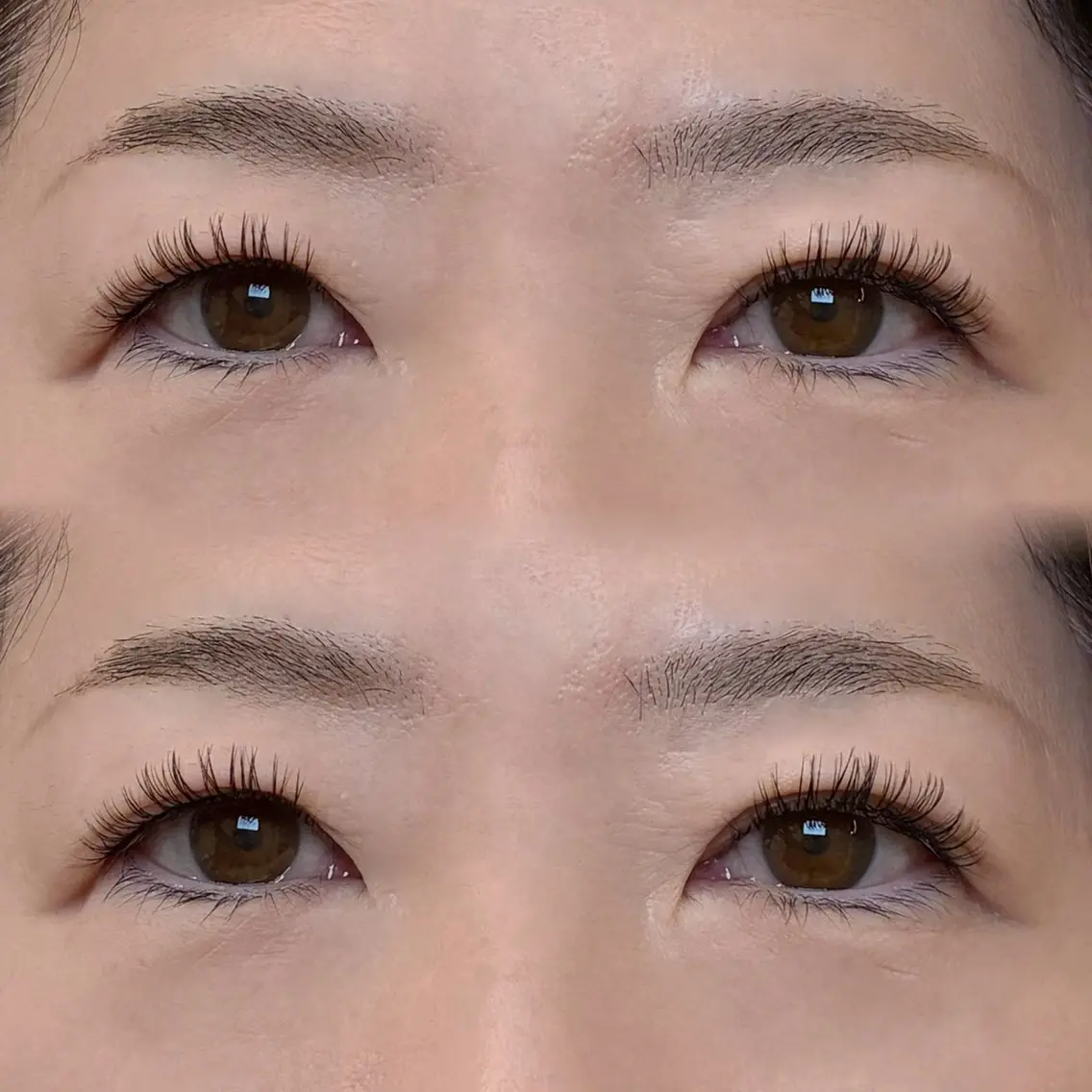 バインドロック60束🔗🖤【オフなし】の写真