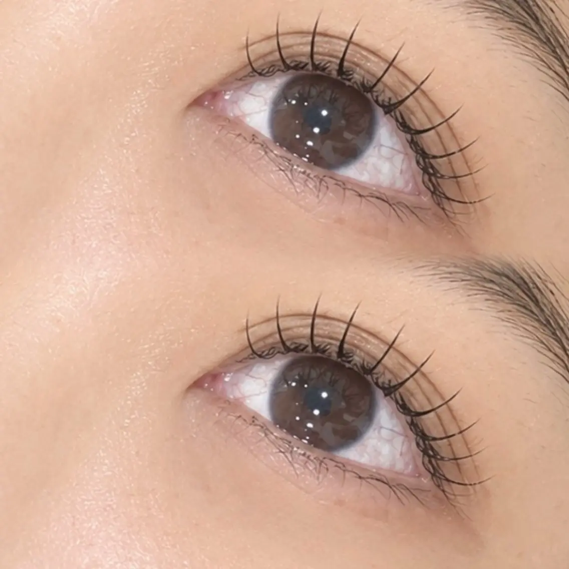 マツエク初心者さんにも◎自然な垢抜けeye💓 《 マツエク100本 》+✨️高級コーティング✨️の写真