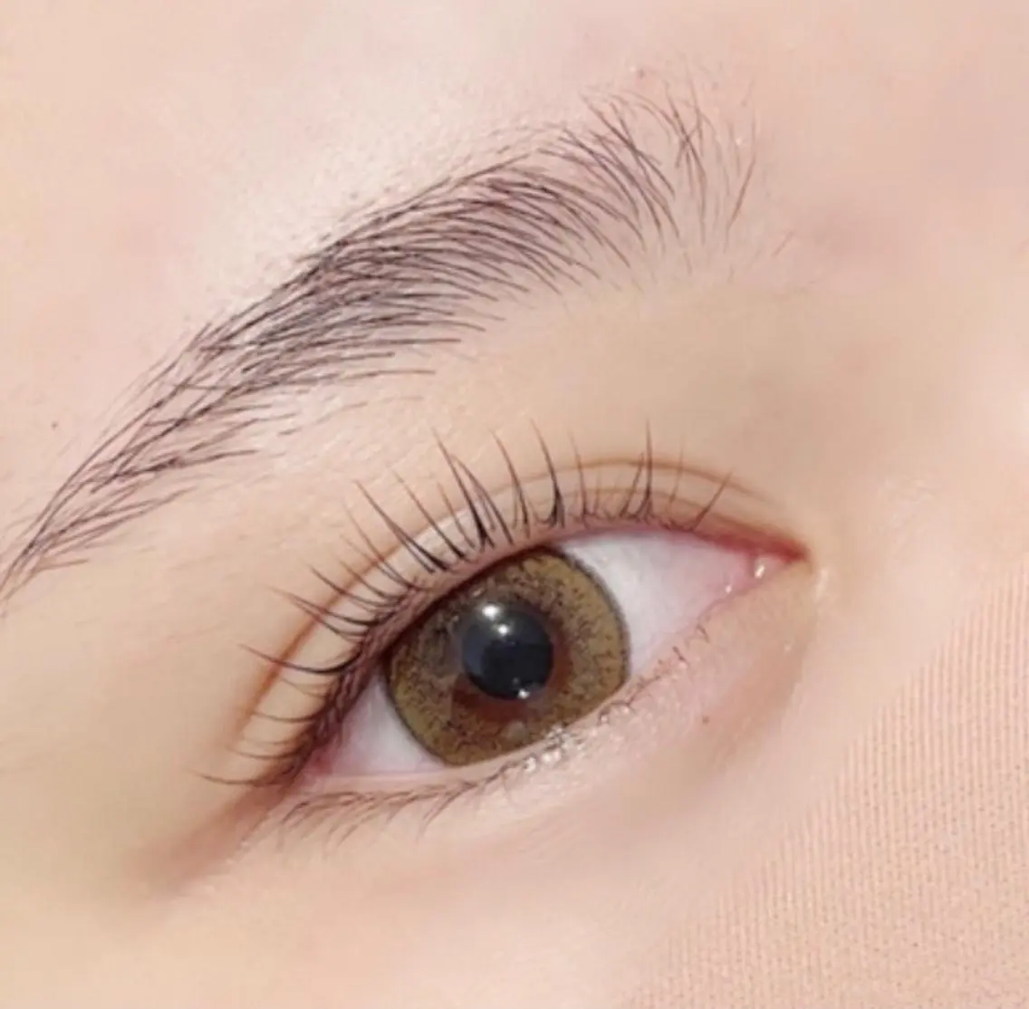 無料モデル募集【5月27日14時半】まつげカール＋眉ワックスの写真